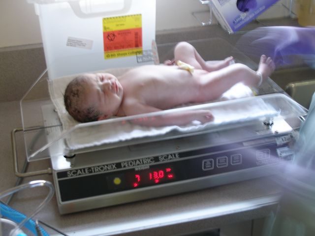 7 pounds, 13 oz.