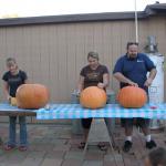 BIG pumpkins