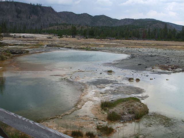 YellowstoneJ23 030.jpg