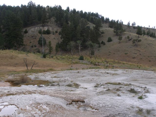 Yellowstone3 124.jpg