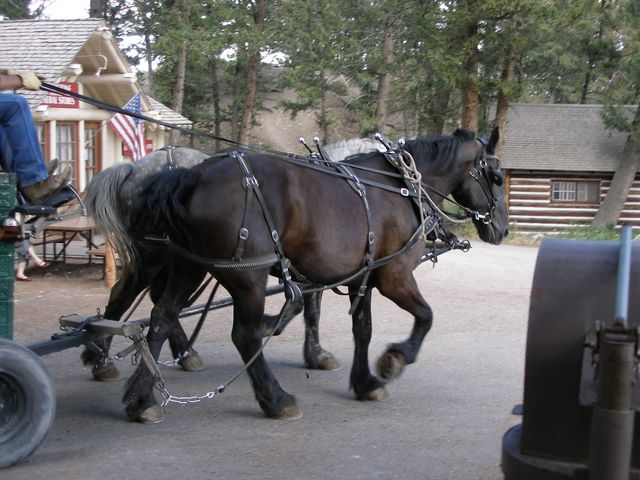 Yellowstone3 104.jpg