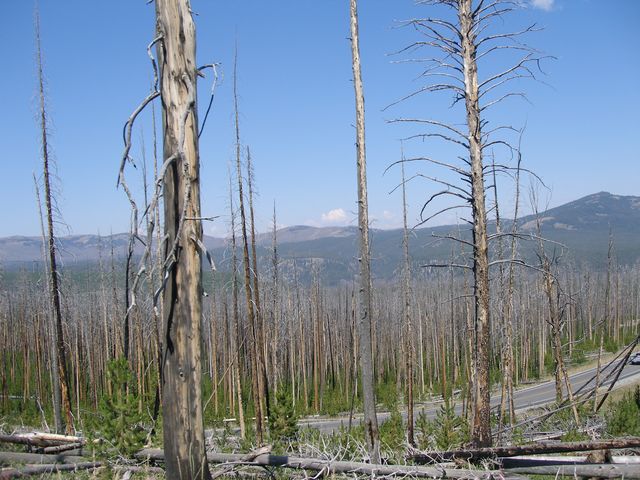 Yellowstone3 075.jpg