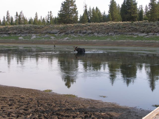 Yellowstone 124.jpg