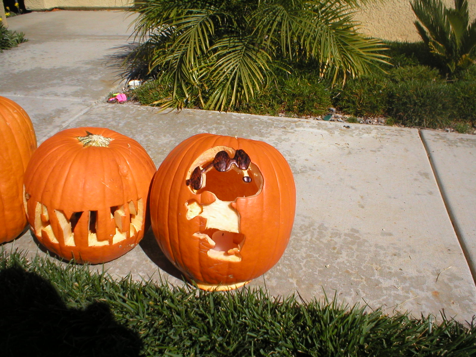 Halloween1_036.jpg