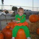 At the "Pumpkin Park"