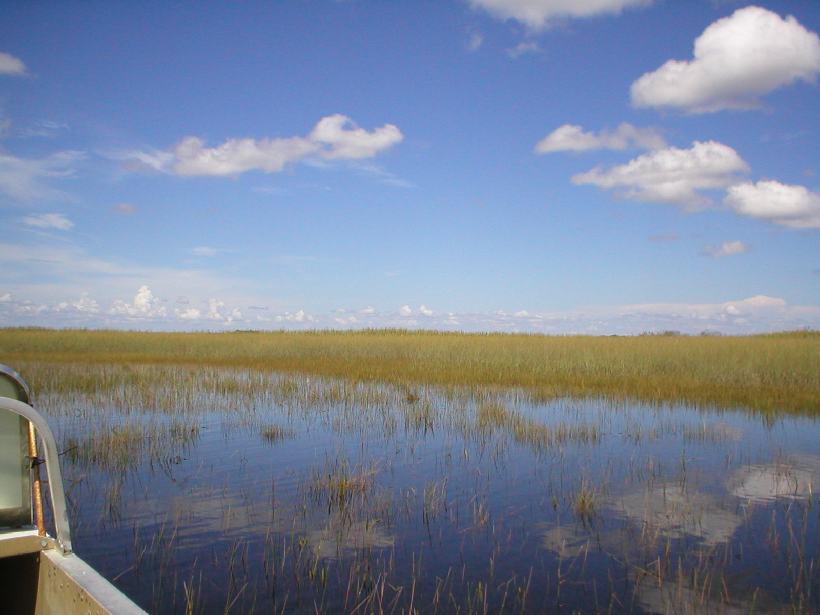 Everglades