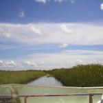 Everglades 