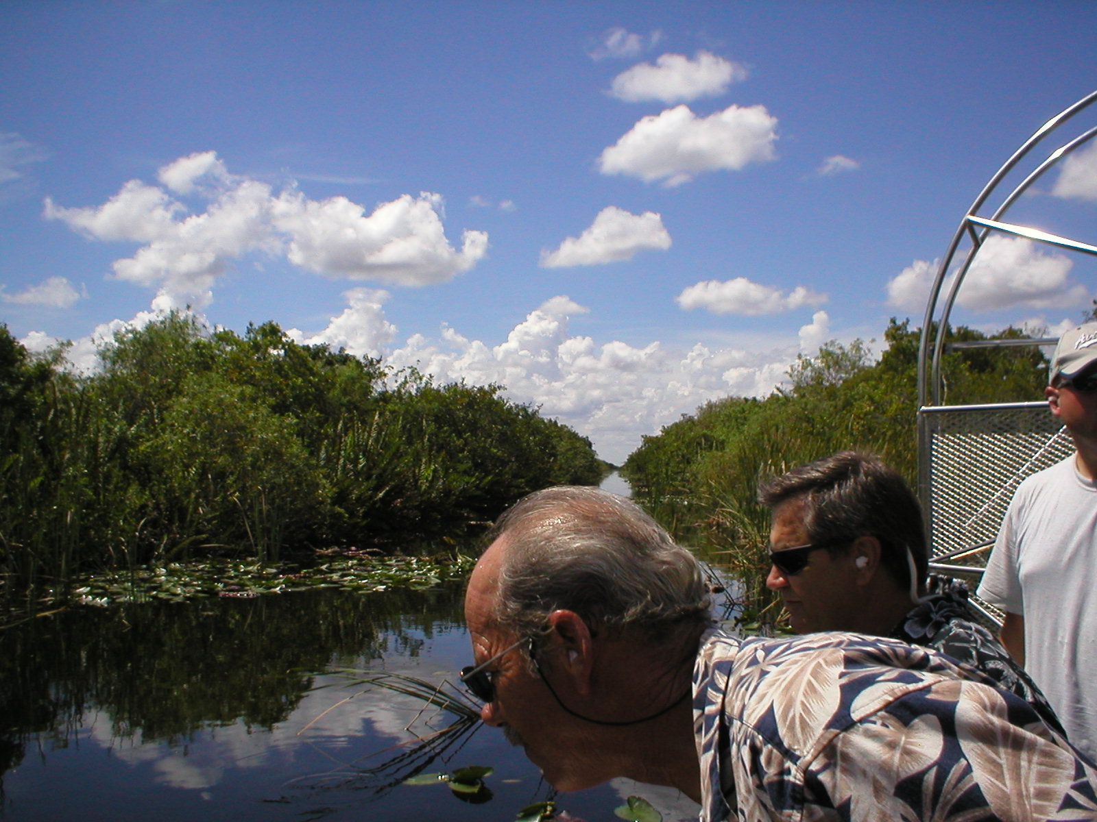 Everglades 