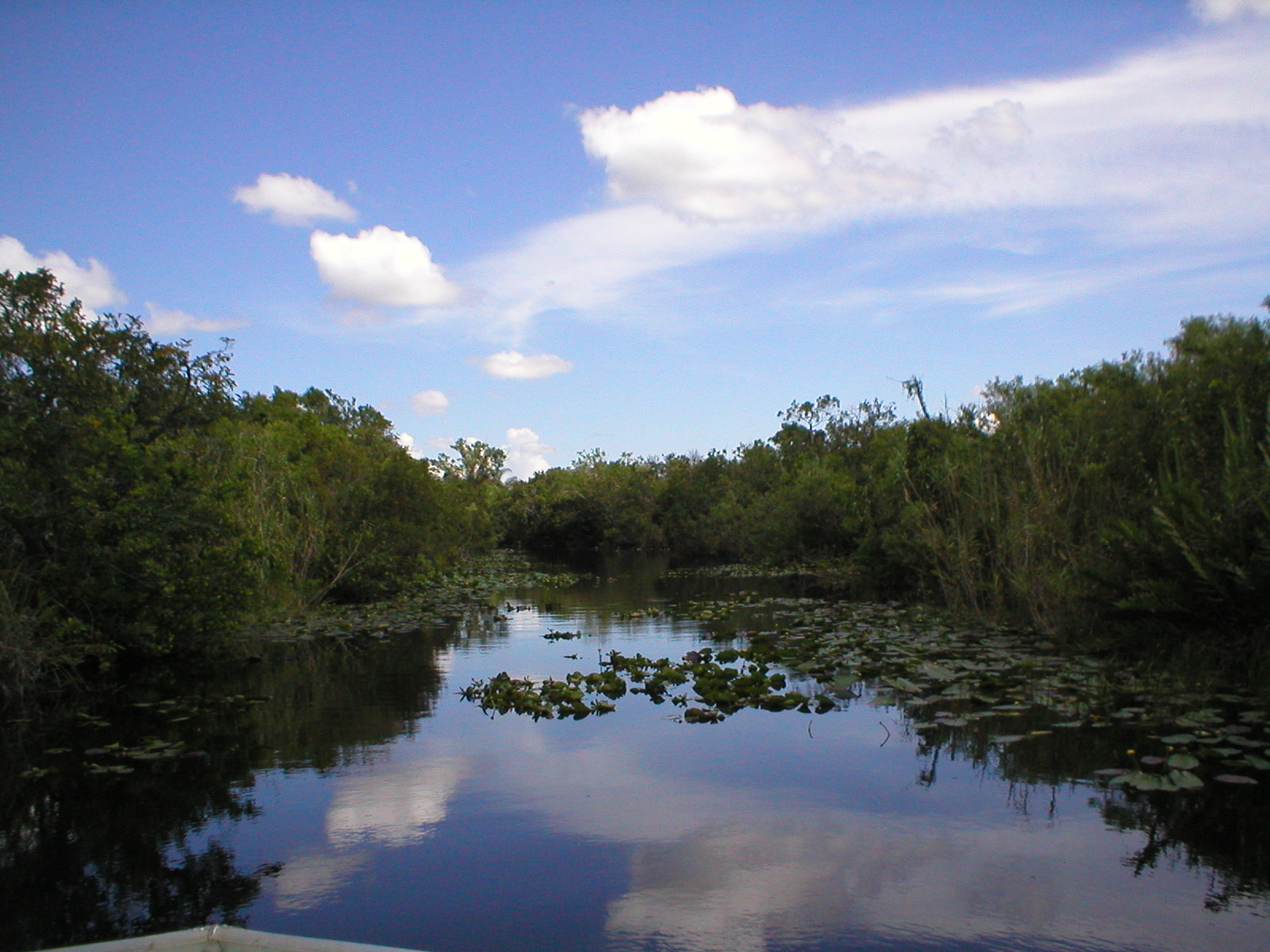 Everglades 