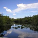 Everglades 