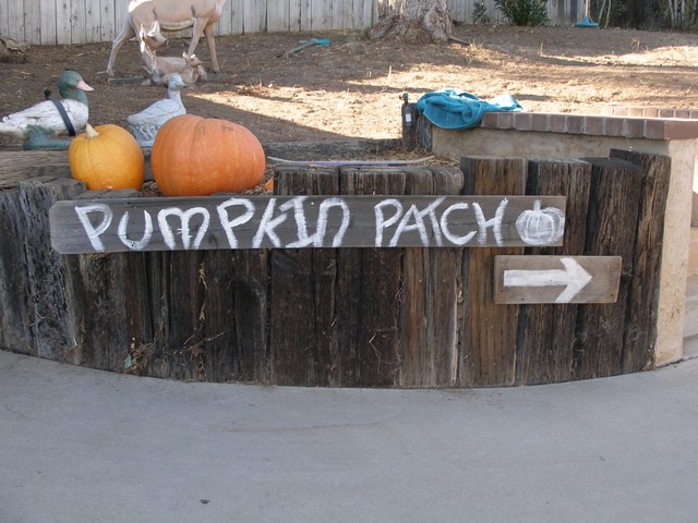 This way to Eric's Pumpkin Patch