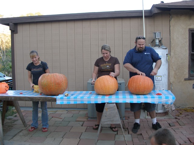 BIG pumpkins