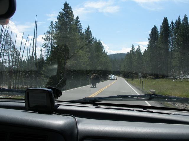 Yellowstone5 019.jpg