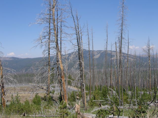 Yellowstone3 072.jpg