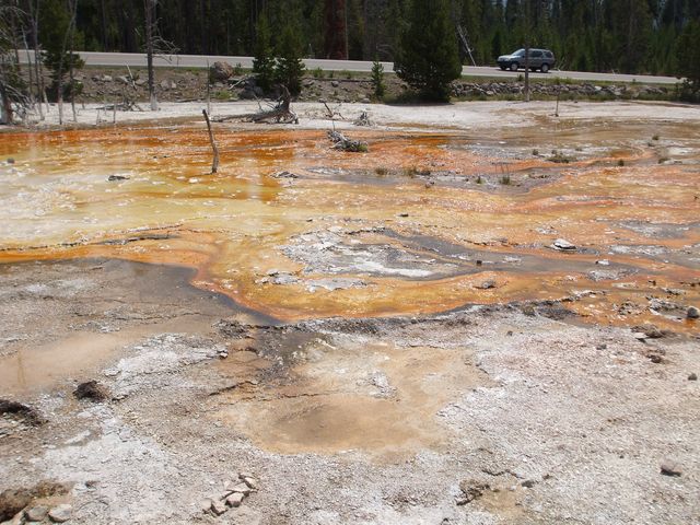 Yellowstone2 027.jpg