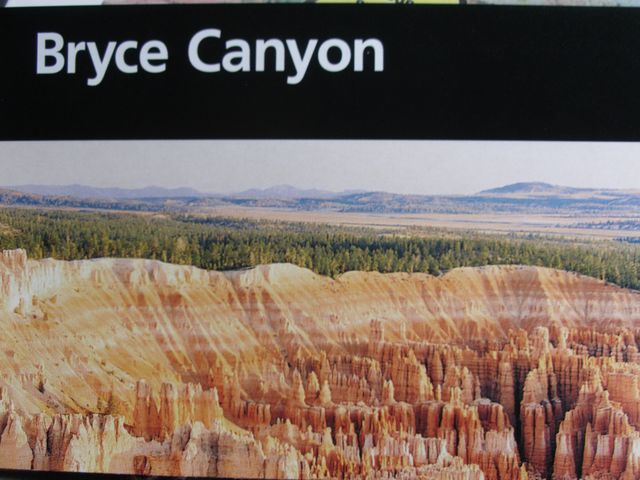 Yellowstone 049.jpg