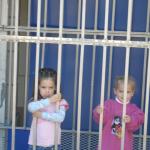 At Birch Aquarium,  Paige and Kaylin in the Shark Cage