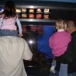 At Birch Aquarium, The Dads and the Girls