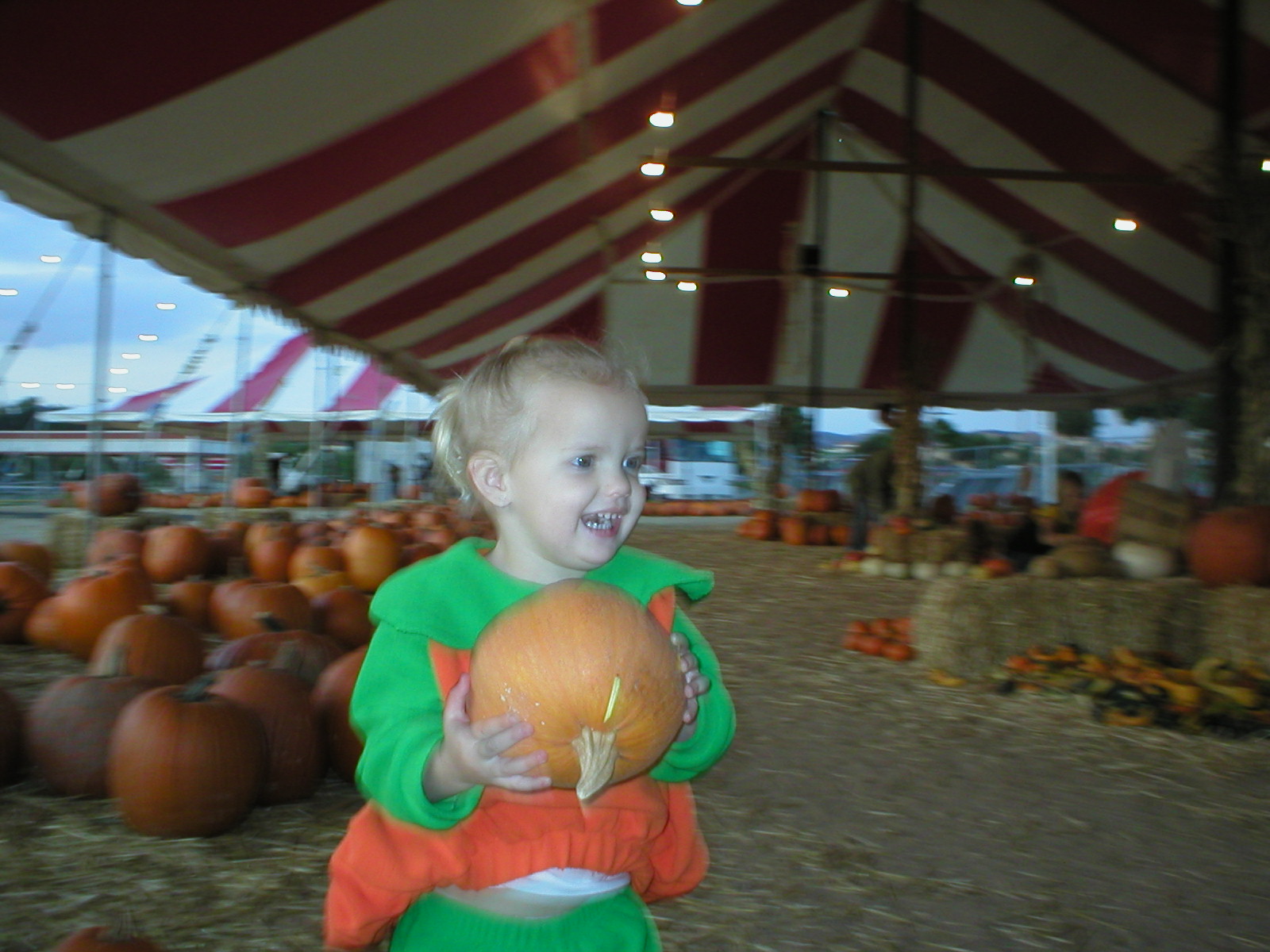 At the "Pumpkin Park" picking the perfect pumpkin