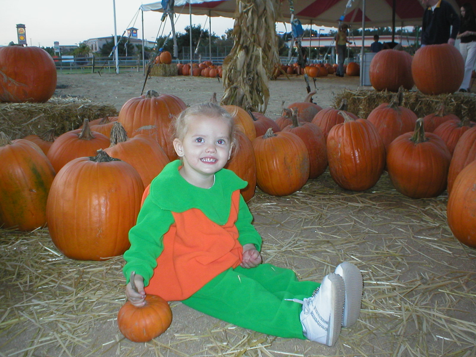 At the "Pumpkin Park" the perfect pumpkin...she carried it around the whole patch.