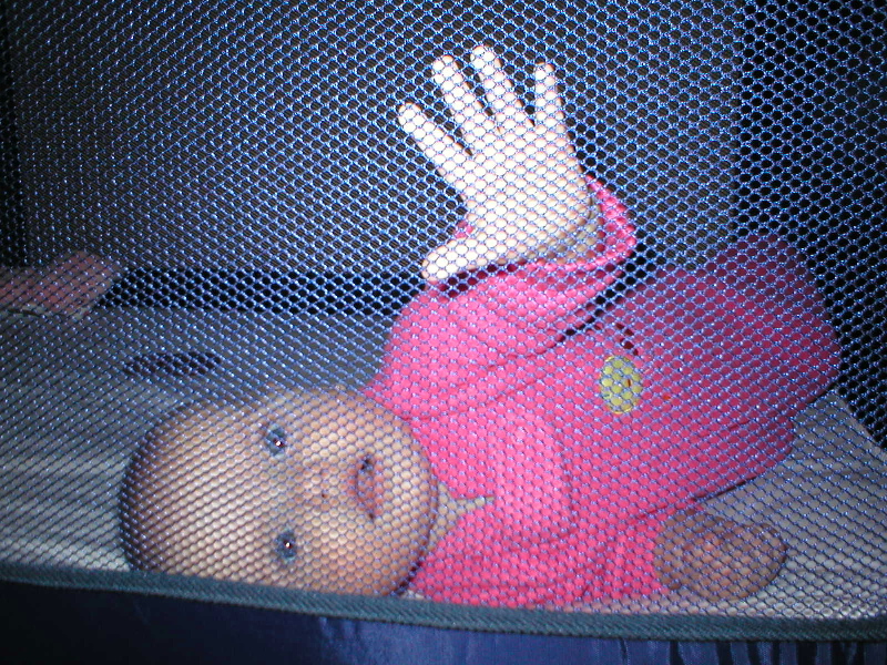 Let me out of this cage!
