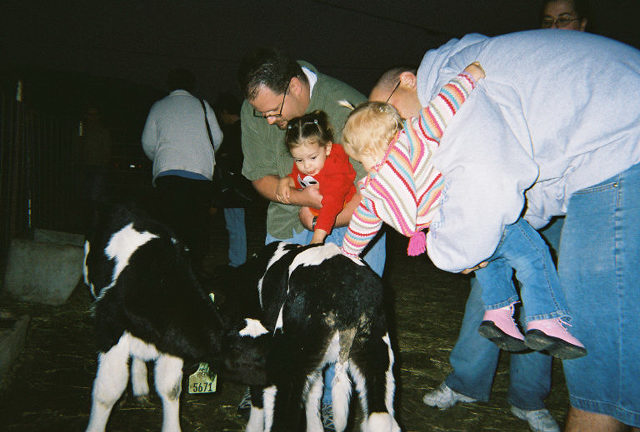 Jason & Paige and Ryan & Kaylin petting the baby cows.