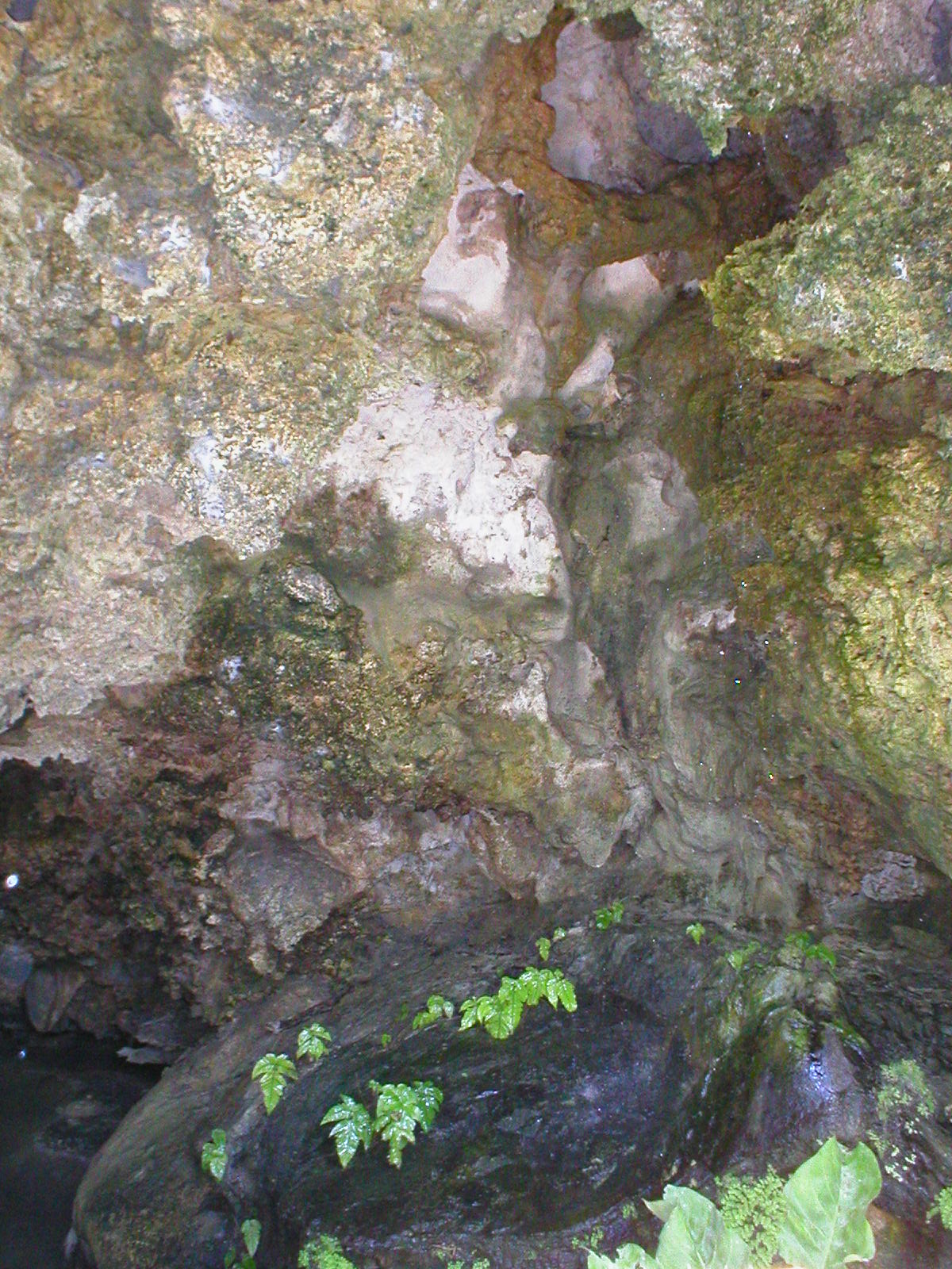 Cozumel - Playa De Carmen - Caverns