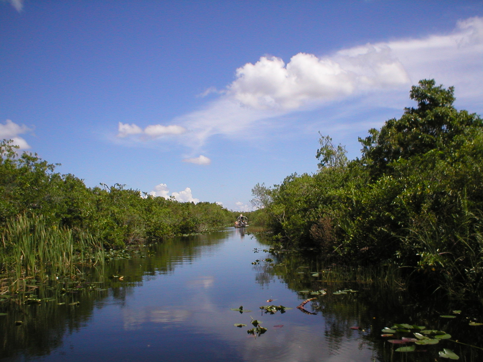 Everglades 
